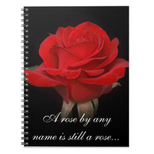 Cuaderno bloc de notas Rosa 2