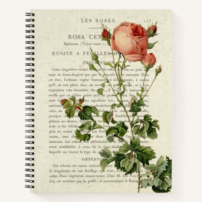 Cuaderno Bloc de notas Rosa Centifolia - Elegante regalo fl (Anverso)