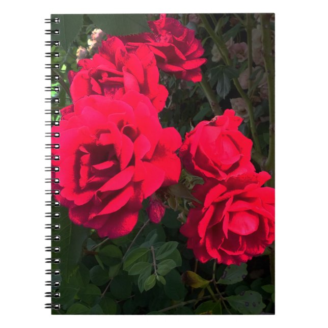 Cuaderno Bloc de notas Rosario Roses Rojas (Frente)