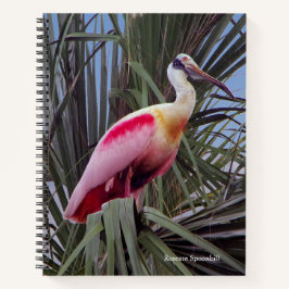Cuaderno bloc de notas Roseate Spoonbill