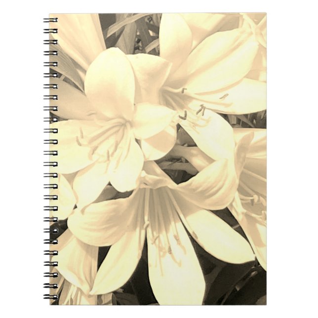Cuaderno Bloc de notas Sepia Blooms (Frente)