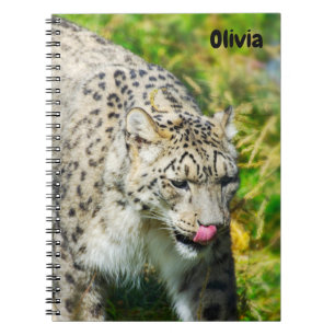 Cuaderno bloc de notas Snow Leopard Spiral