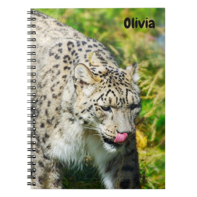 Cuaderno bloc de notas Snow Leopard Spiral (Frente)