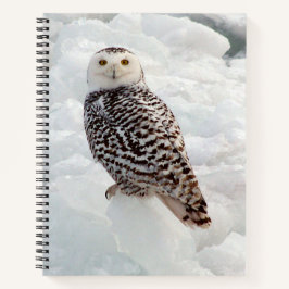 Cuaderno bloc de notas Snowy Owl