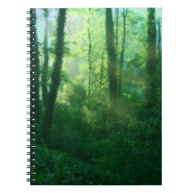 Cuaderno Bloc de notas sobre fertilidad (Frente)