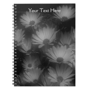 Cuaderno Bloc De Notas Sobre Flores De Daisy Africanas Negr