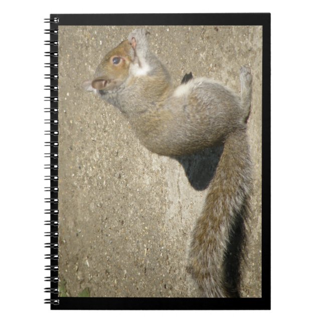 Cuaderno Bloc de notas sobre la ardilla Hungry Horatio (Frente)