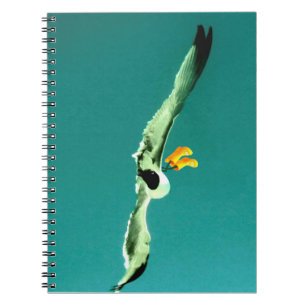 Cuaderno Bloc de notas y gaviota con botas de lluvia