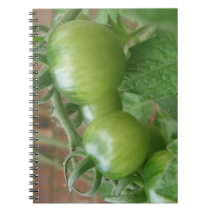 Cuaderno Bloc de tomates verdes