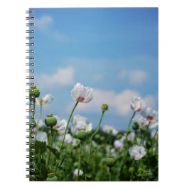 Cuaderno Bloeiend Papaver somneferum maanzaad bloemen.