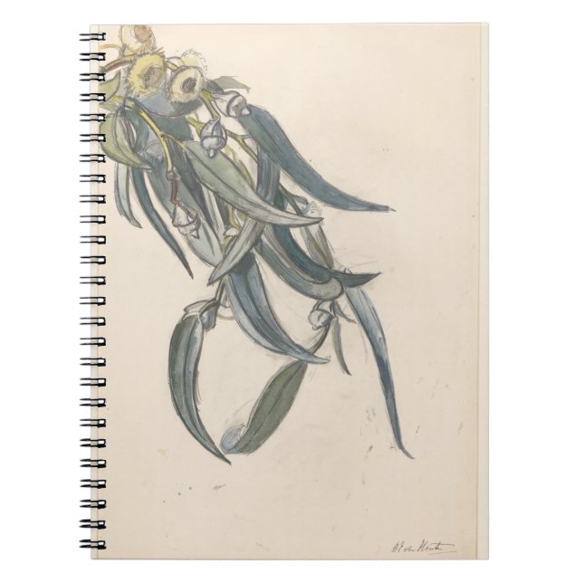 Cuaderno Bloeiende tak van een eucalyptus (Frente)