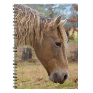 Cuaderno Blonde Beauty Horse Notebook