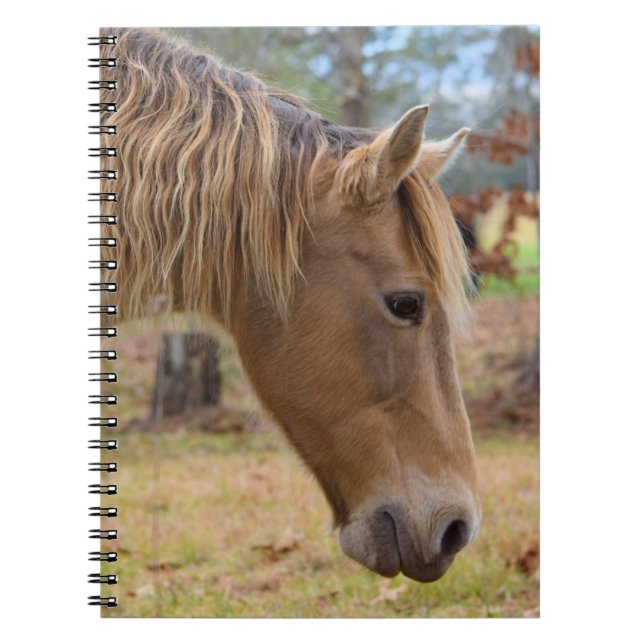 Cuaderno Blonde Beauty Horse Notebook (Frente)