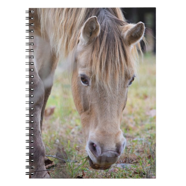 Cuaderno Blonde Horse Notebook (Frente)