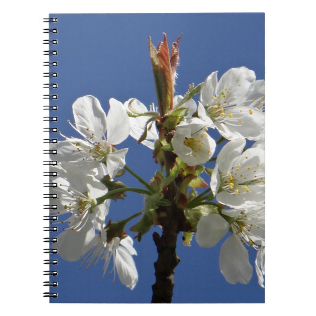 Cuaderno Bloom de Primavera Blanca (Frente)