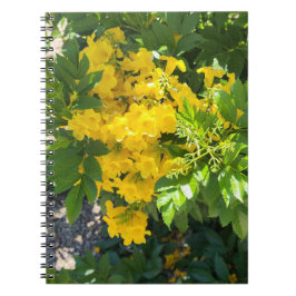 Cuaderno Bloom del desierto