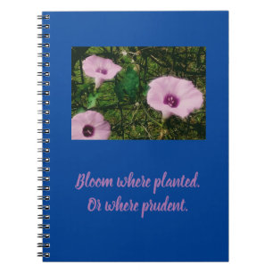 Cuaderno Bloom Donde Se Plantó Un Portátil De Fotografía Es