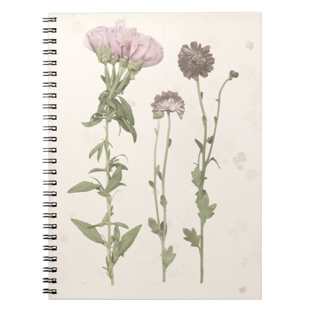 Cuaderno Blooms Presionados - Rosa (Frente)