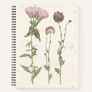 Cuaderno Blooms Presionados - Rosa