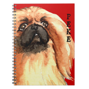 Cuaderno Bloque de color pekingés