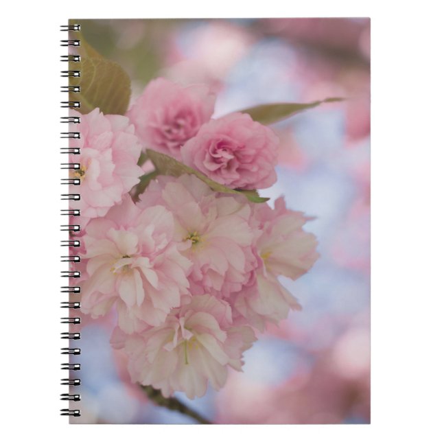 CUADERNO BLOSSOM DE CHERRY PINK EN FOTOGRAFÍA CERRADA (Frente)