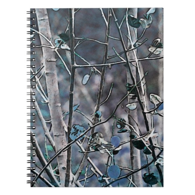 Cuaderno Blue Aspen (Frente)