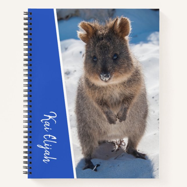 Cuaderno Blue Boys Custom Name Quokka en la playa (Anverso)