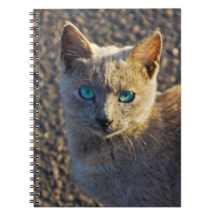 Cuaderno Blue Eyed Cat