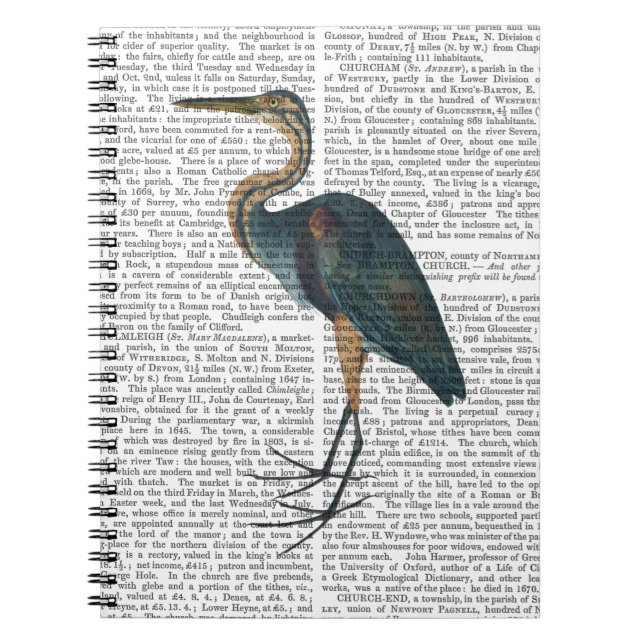 Cuaderno Blue Heron 3 (Frente)