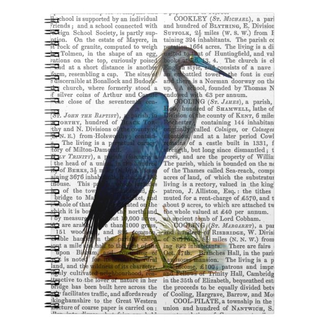 Cuaderno Blue Heron 3 2 (Frente)