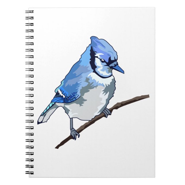 Cuaderno Blue Jay (Frente)