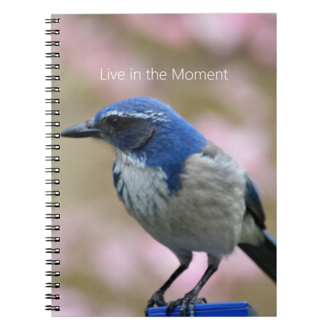 Cuaderno Bluebird Floral Rosa (mi fotografía) (Frente)
