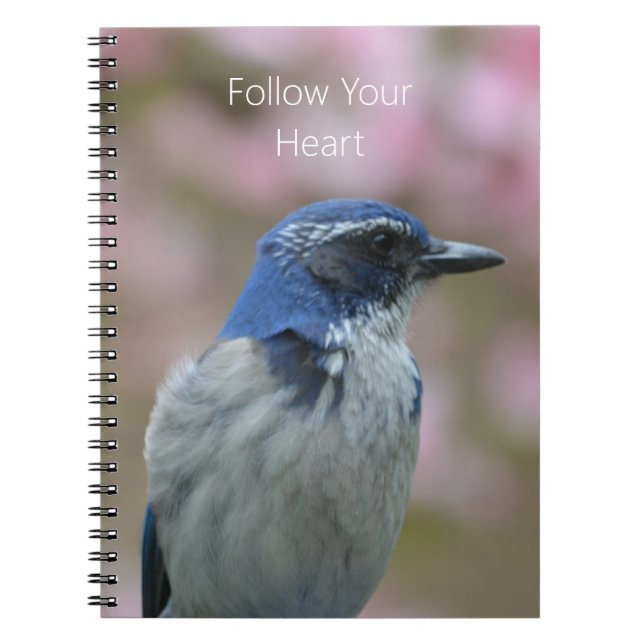 Cuaderno Bluebird (my photography) (Frente)