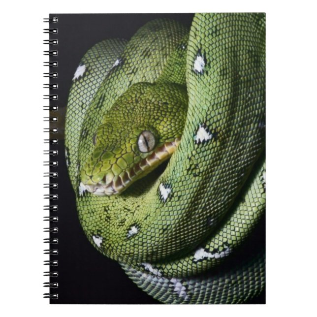 Cuaderno Boa esmeralda de la serpiente verde del árbol en (Frente)