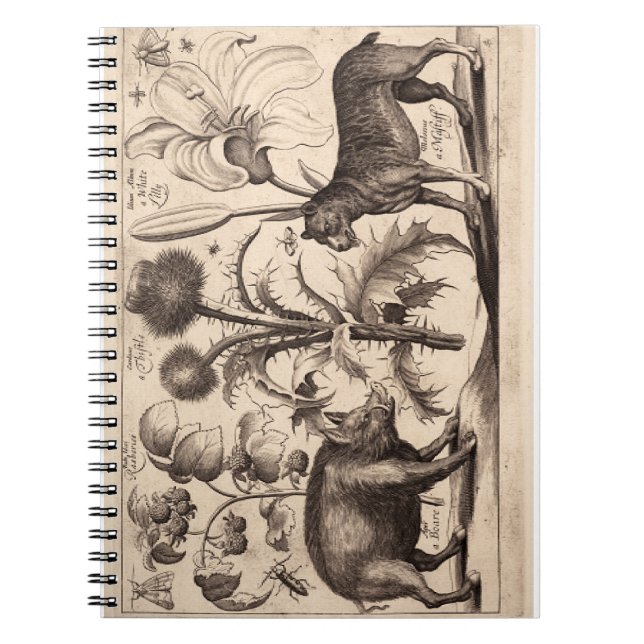 Cuaderno Boar y Mastiff (Frente)