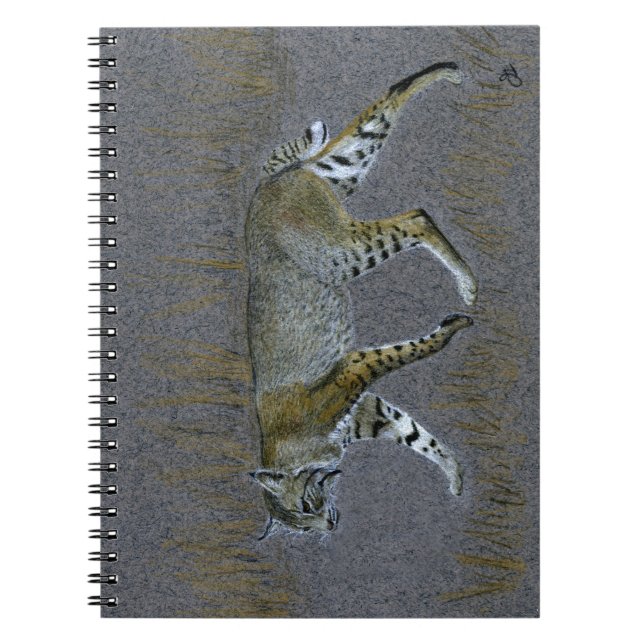 Cuaderno Bobcat (Frente)