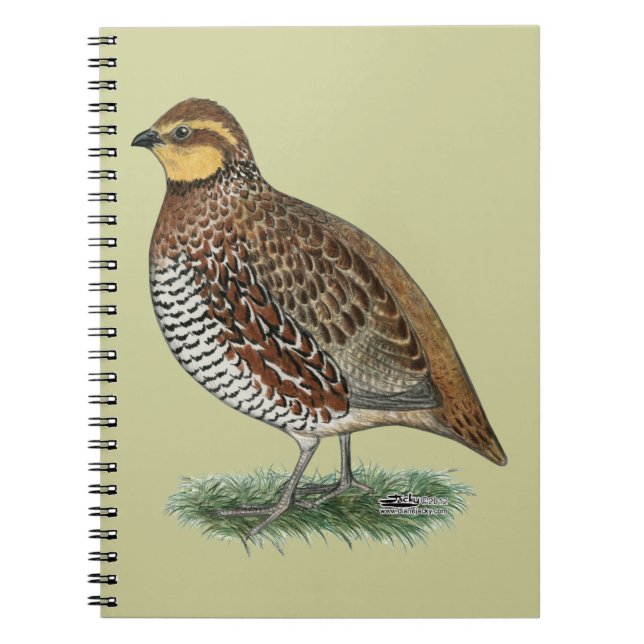 Cuaderno Bobwhite Quail Hen (Frente)