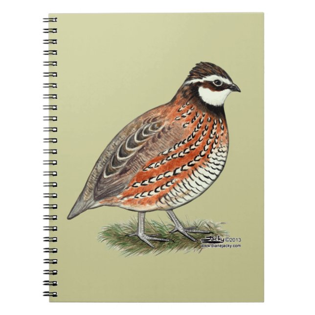 Cuaderno Bobwhite Quail Rooster (Frente)