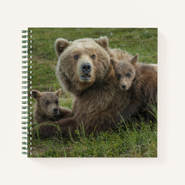 Cuaderno Bocas de oso marrón acurrucadas con su madre (Anverso)