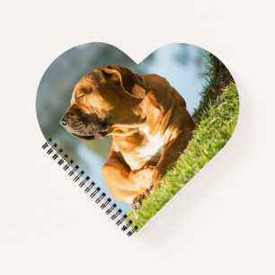 Cuaderno Boerboel