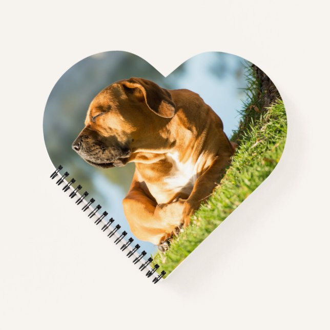 Cuaderno Boerboel (Anverso)