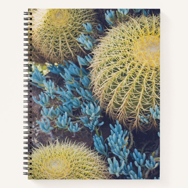 Cuaderno Boho Cactus Garden (Anverso)