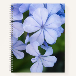 Cuaderno Bokeh Floral Azul