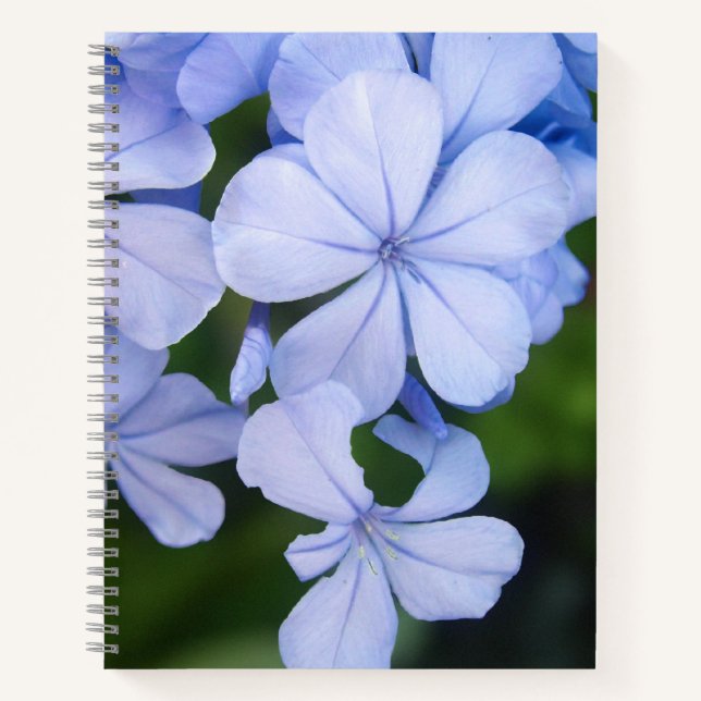 Cuaderno Bokeh Floral Azul (Anverso)
