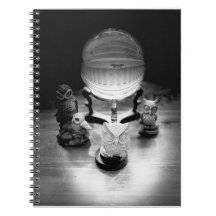 Bolas de cristal y búhos ornamentales