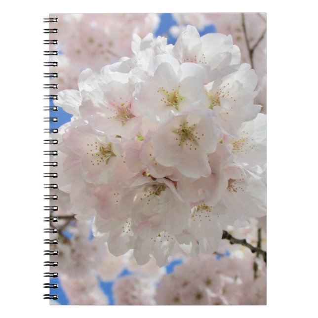 Cuaderno Bolas de flores rosadas. (Frente)