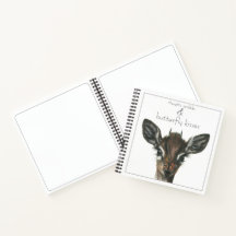 Boletín de besos de mariposa