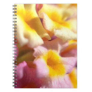 Cuaderno Boletín de flores Lantana