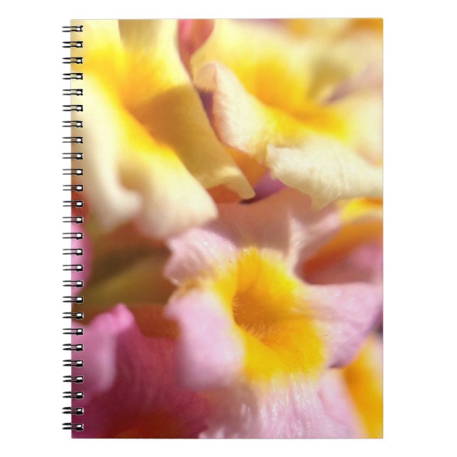 Cuaderno Boletín de flores Lantana (Frente)