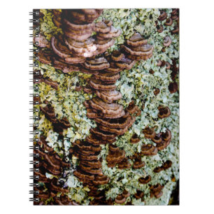 Cuaderno Boletín de fotografía espiral de hongos verdes y m